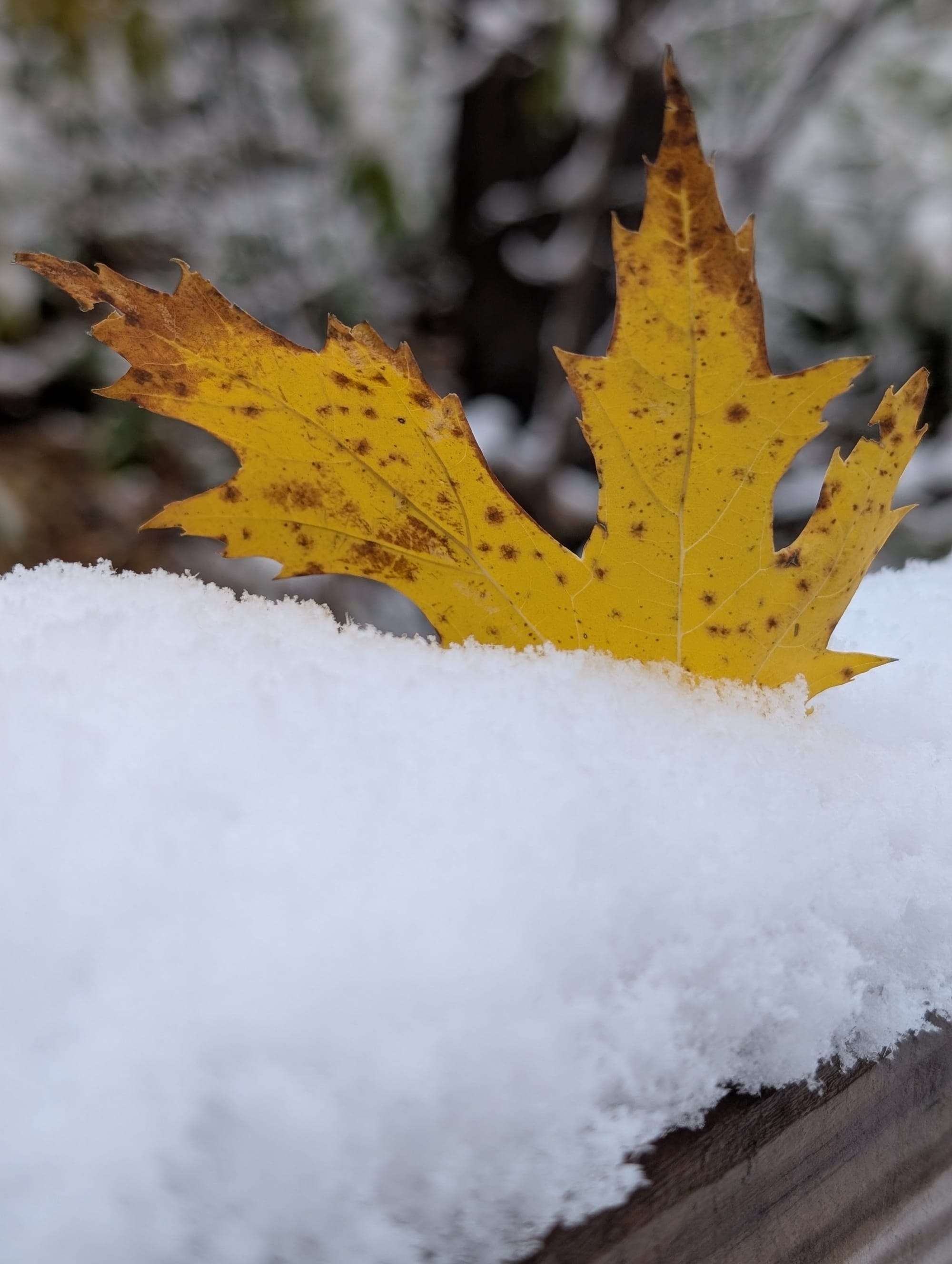 Getting Back in the Swing of Things