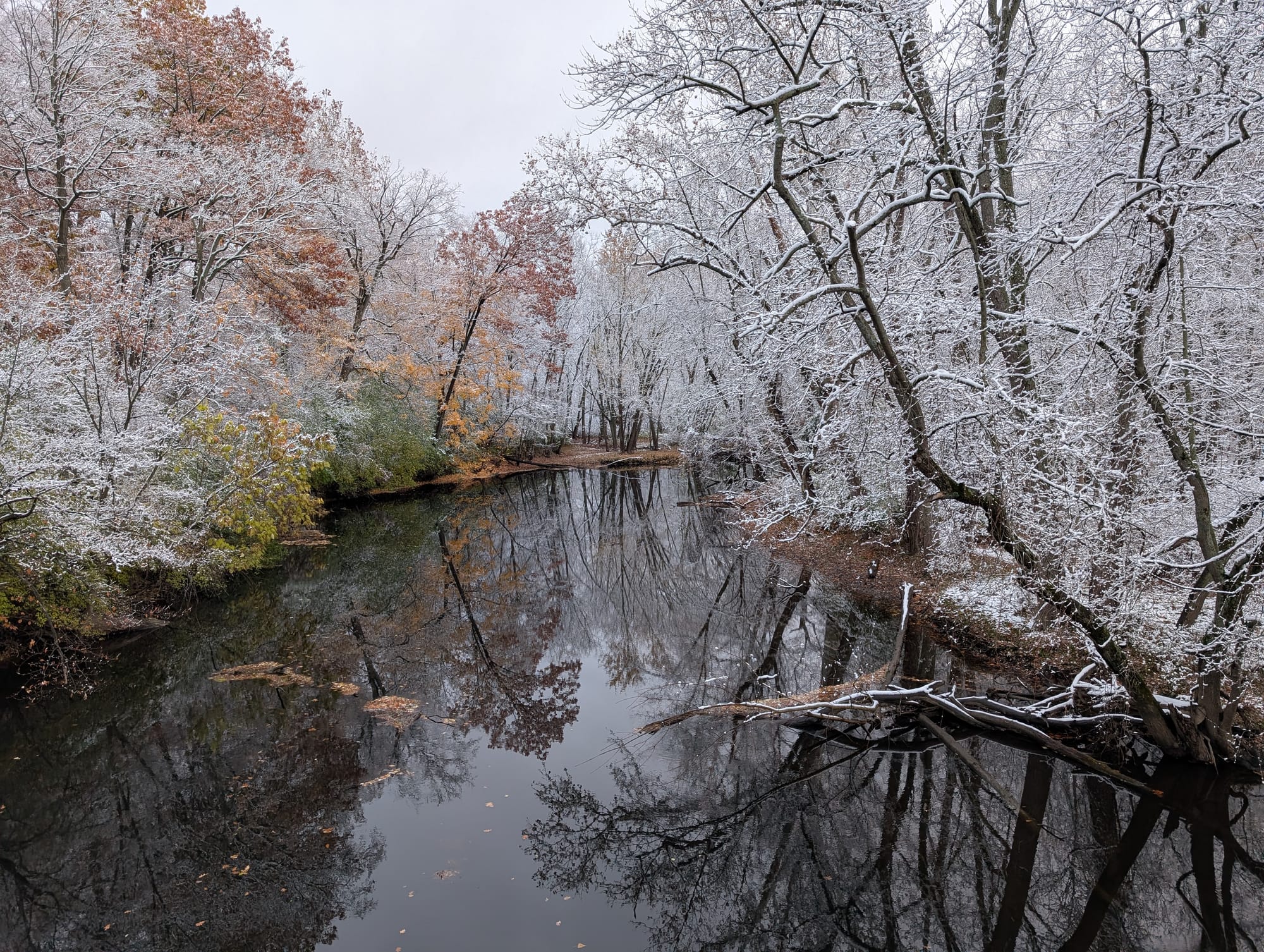 Getting Back in the Swing of Things