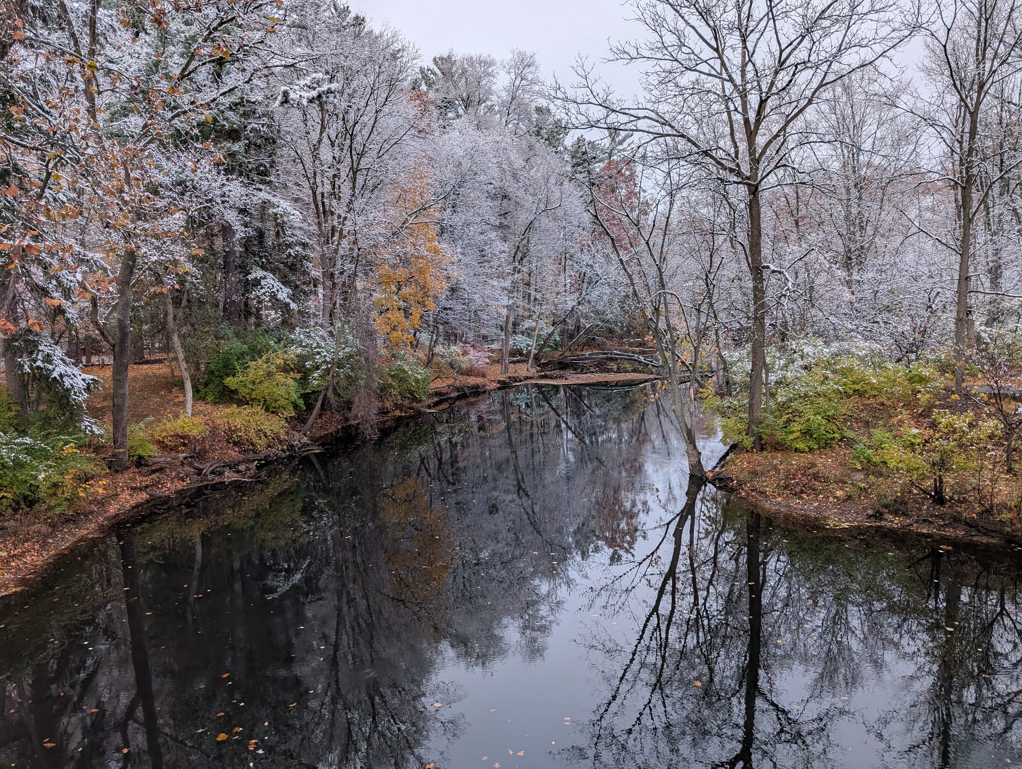 Getting Back in the Swing of Things